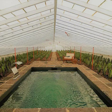 Nature Retreat By Herdade Do Ananas 住宿加早餐酒店 蓬塔德尔加达