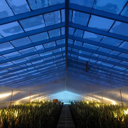 Nature Retreat By Herdade Do Ananas *