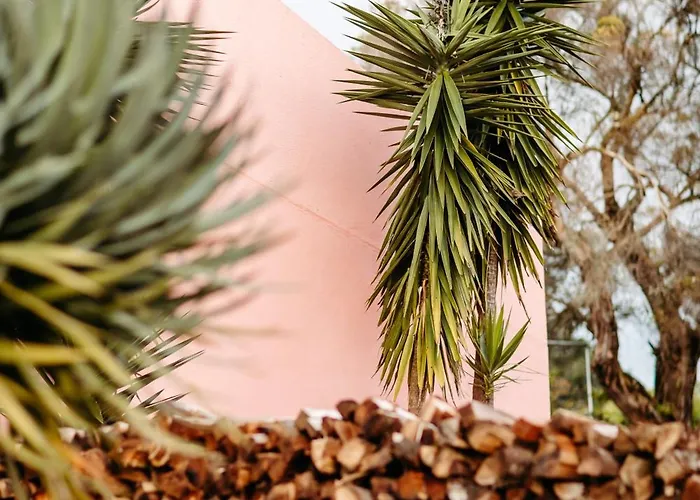 Alojamento de Acomodação e Pequeno-almoço Nature Retreat By Herdade Do Ananás Ponta Delgada