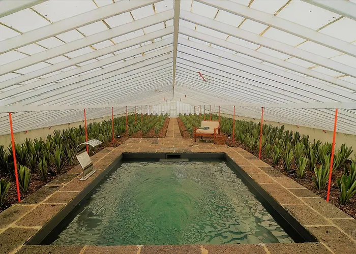 Nature Retreat By Herdade Do Ananas Bed & Breakfast Ponta Delgada (Sao Miguel)