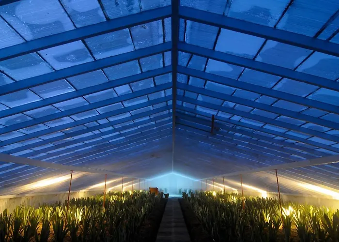 Nature Retreat By Herdade Do Ananás 3*